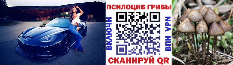продажа наркотиков  MEGA онион  Галлюциногенные грибы Psilocybe  Тула 